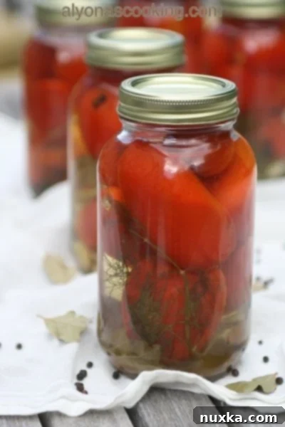 Traditional Ukrainian Pickled Tomatoes in a Jar with Dill, Currant Leaves, and Peppercorns