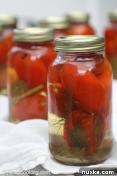 Close-up of Ukrainian Pickled Tomatoes in a jar, showcasing the whole tomatoes and herbs