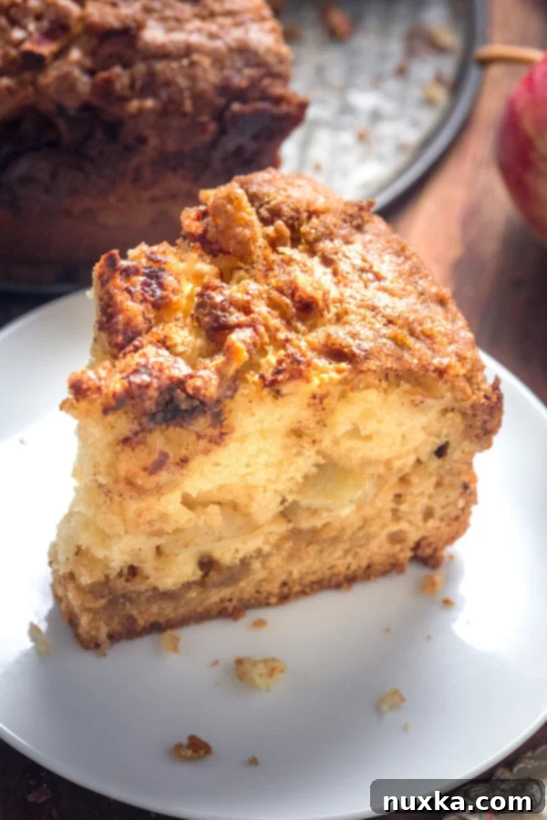 Close-up of a slice of apple cinnamon cake showing the moist texture and apple chunks