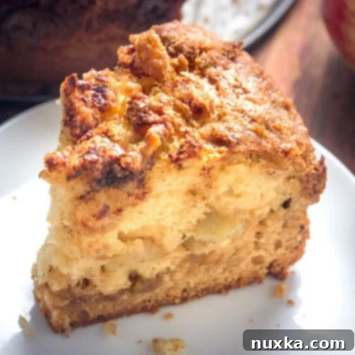 A perfectly baked Apple Cinnamon Cake slice on a white plate with a whole apple in the background