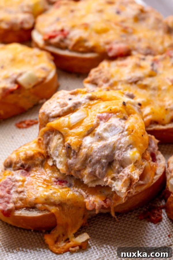 Close-up of a freshly baked, cheesy tuna melt