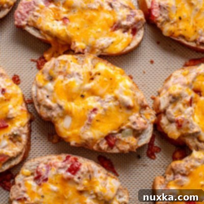 Quick Tuna Melts 7 Easy Tuna Melts Recipe