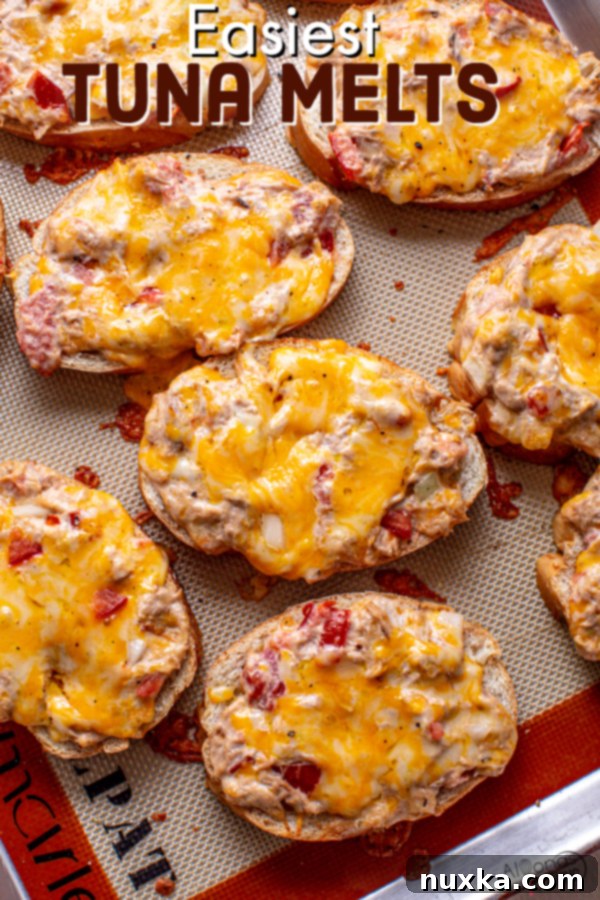 A plate of fresh, hot easy tuna melts ready to be served