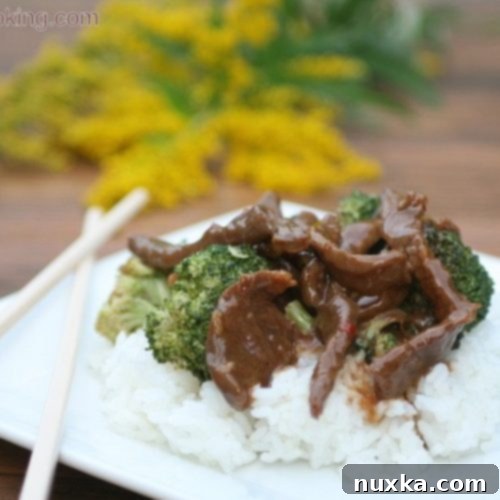 Close-up of freshly cooked Beef and Broccoli stir fry