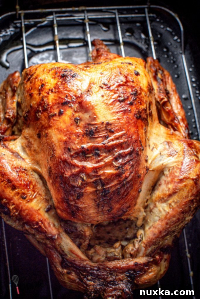 easiest-turkey-recipe