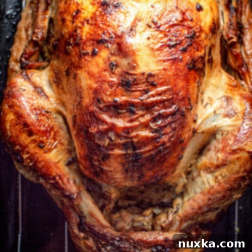 Easy 4-Ingredient Roast Turkey