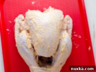 Seasoning the turkey with mayo rub