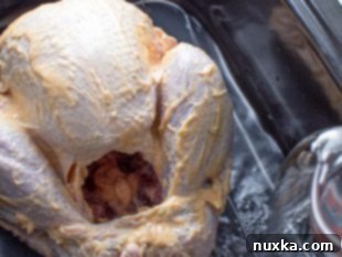 Roasting the turkey