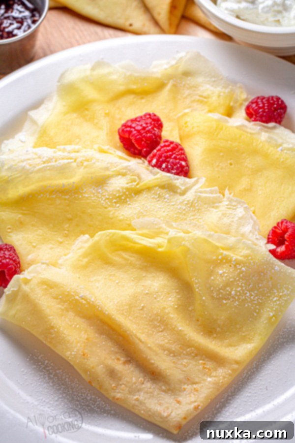 A close-up shot of a single, perfectly cooked thin crepe, showcasing its delicate texture.