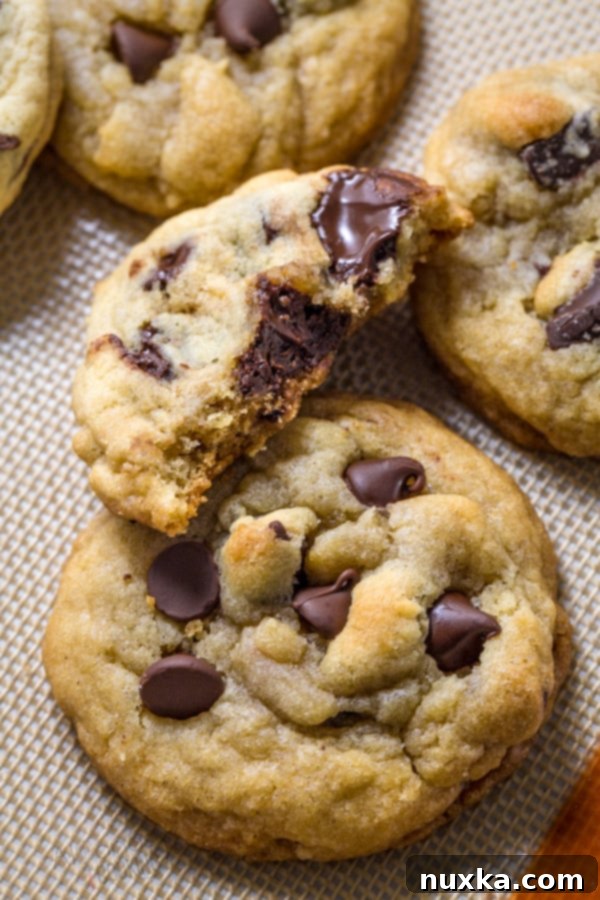 chewy-chocolate-chips