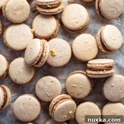 Easy Nutella Macarons