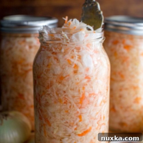Authentic Ukrainian Sauerkraut 7 sour-kraut