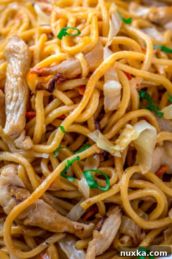 Close-up of Chicken Lo Mein in a pan