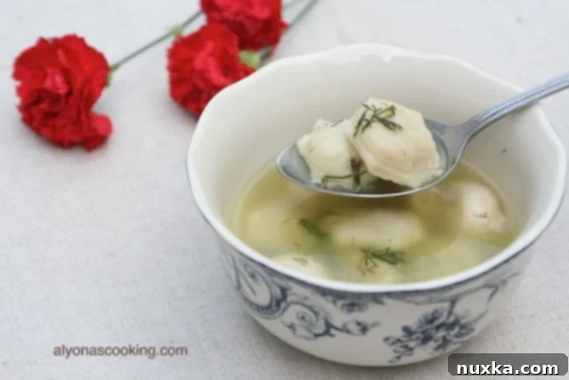 Delicious Pelmeni Soup, a traditional Russian dumpling soup, ready to be served.