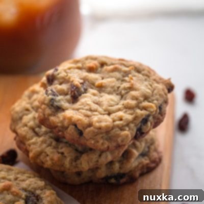 Soft & Chewy Oatmeal Raisin Delights 4 Close-up of a perfectly baked oatmeal raisin cookie, showing the plump raisins and chewy oats.