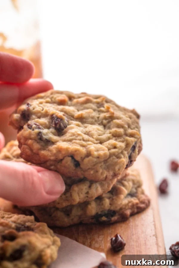 A plate of homemade oatmeal raisin cookies, ready to be enjoyed with a glass of milk.