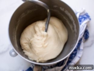 mixing naan dough ingredients in stand mixer