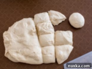 naan bread dough after rising, ready for shaping