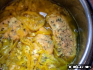 Cooked Mississippi Chicken in Instant Pot, ready to serve