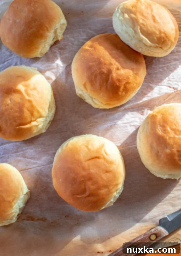 homemade hamburger buns like the grocery stores, soft and airy