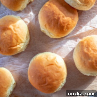 homemade hamburger buns like the grocery stores, ready to bake