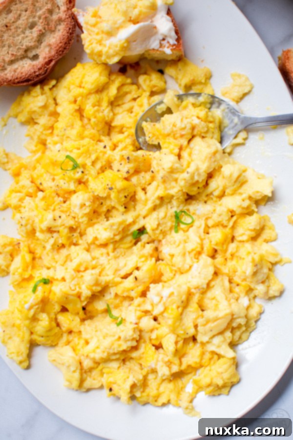 soft and creamy scrambled eggs on a white oval dish with toast