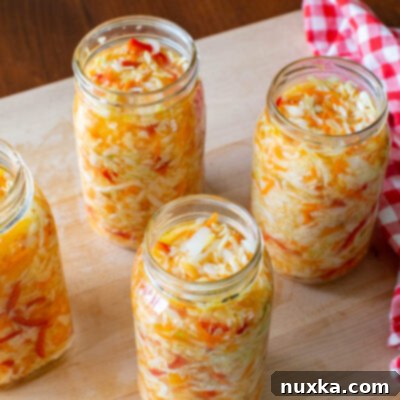 Tangy Cabbage Delight 2 pickled cabbage