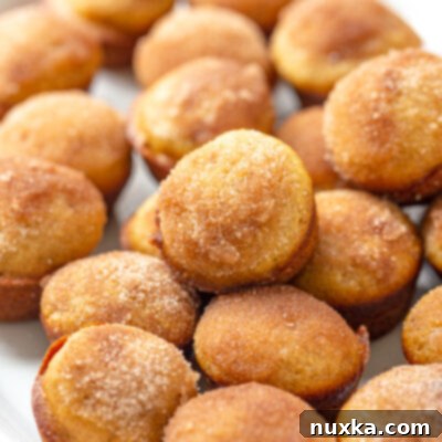 applesauce muffins with a sugar cinnamon topping on a white oval plate