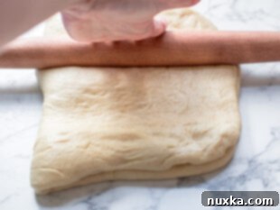 Cinnamon roll dough rolled out into a large rectangle after folding