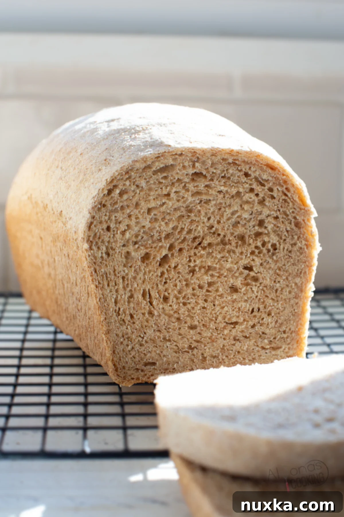 whole wheat bread