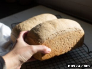 baked whole wheat bread