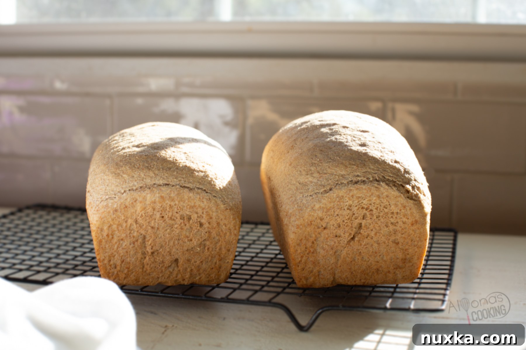 whole wheat bread 