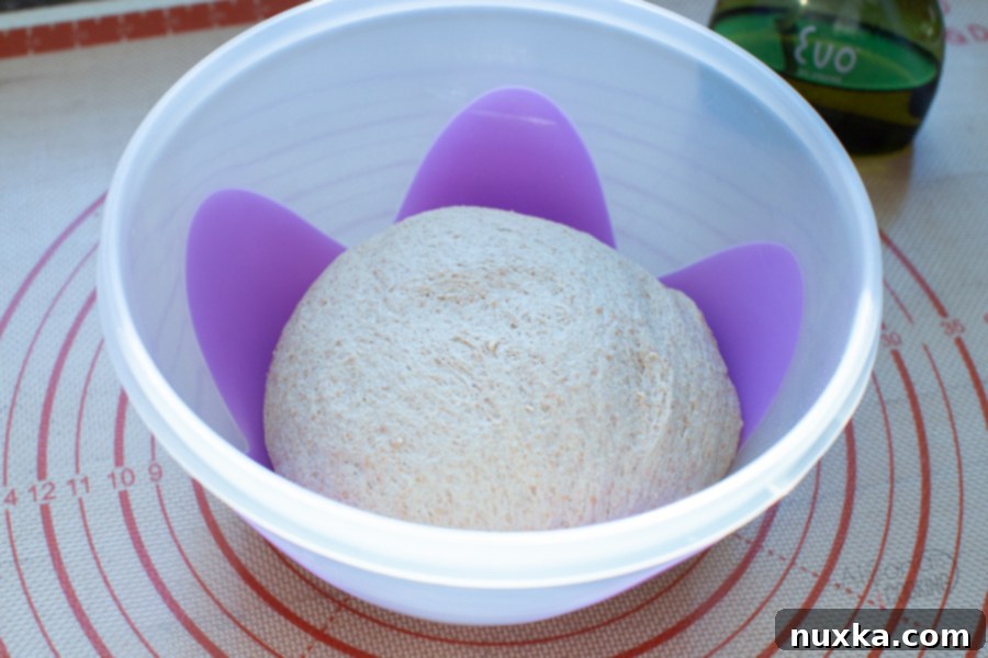 make ahead whole wheat bread 