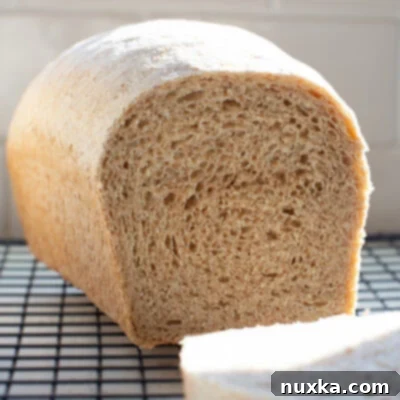 whole wheat bread