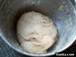 whole wheat dough
