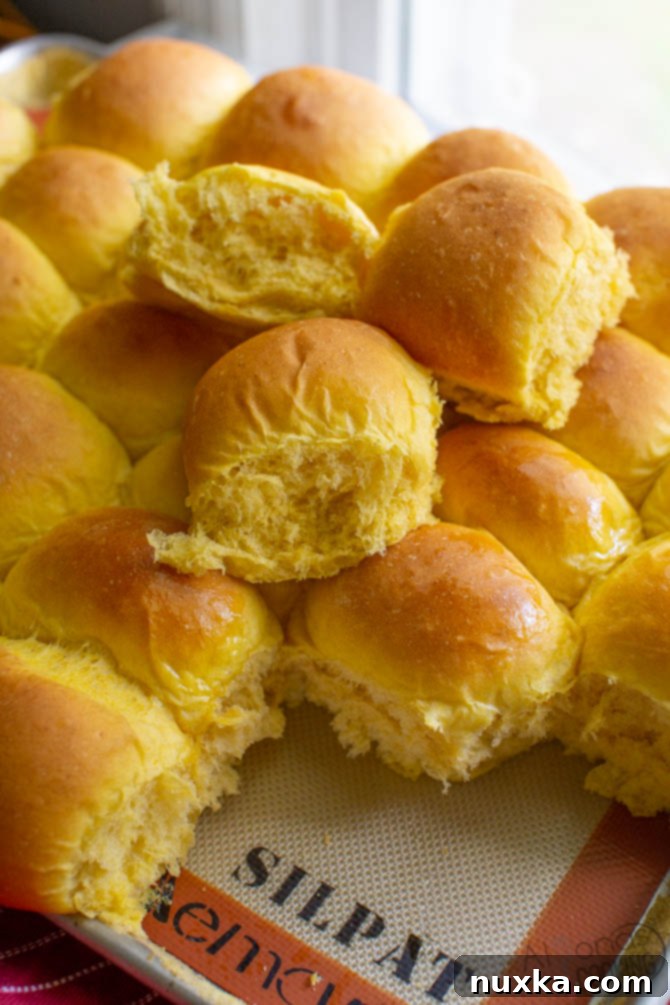 Fluffy Squash Dinner Rolls 2 golden brown squash dinner rolls cooling on a silicone mat and baking sheet