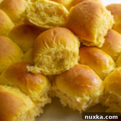 Fluffy Squash Dinner Rolls 3 golden squash dinner rolls arranged on a silicone mat and baking sheet