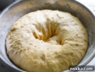 squash dinner rolls dough after its first rise and being punched down