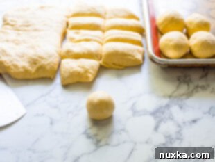 dough being portioned and shaped into squash dinner rolls