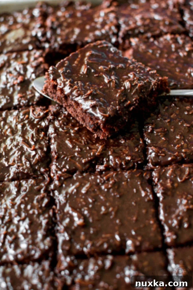 chocolate texas sheet cake with fudge frosting
