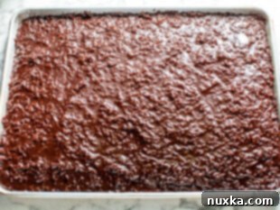 chocolate sheet cake with the poured coconut fudge icing on top in a sheet pan