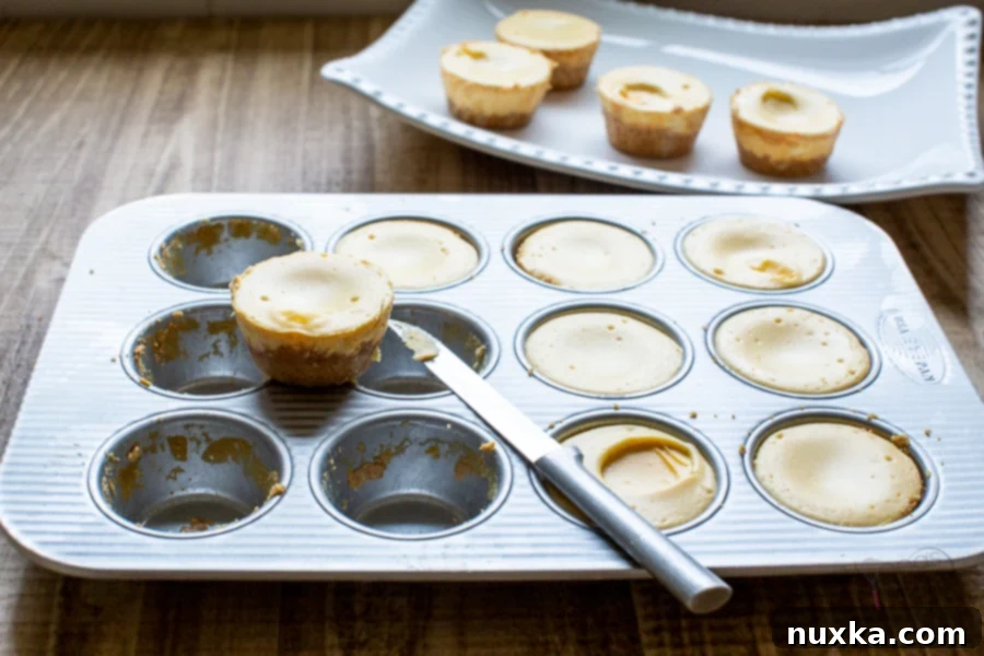 pro tip for removing cheesecakes from a muffin pan 
