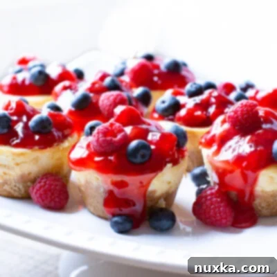 Bite-Sized Cheesecake Delights 2 mini cheesecake recipe on platter