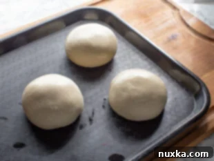 step 5 on how to make dominos pizza dough