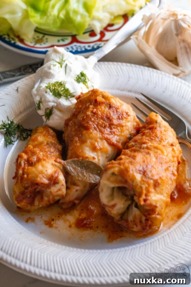 moms stuffed cabbage rolls on a plate filled and rolled with rice and meat then garnished with sour cream and dill