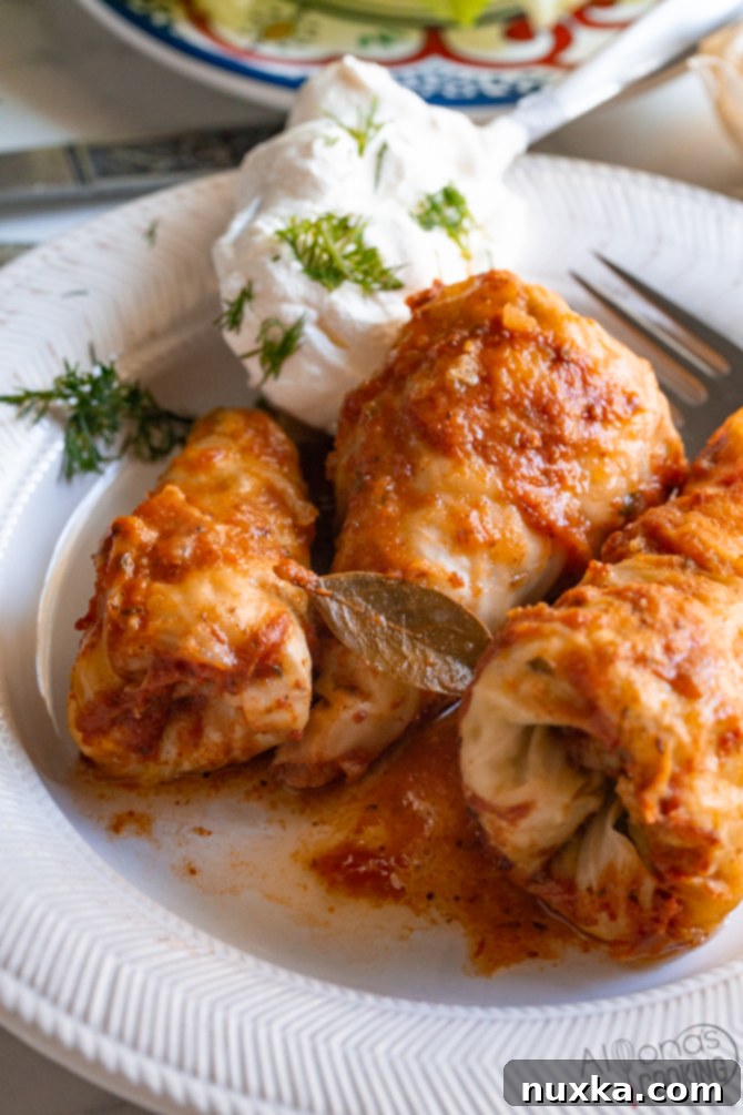 easy stuffed cabbage rolls recipe