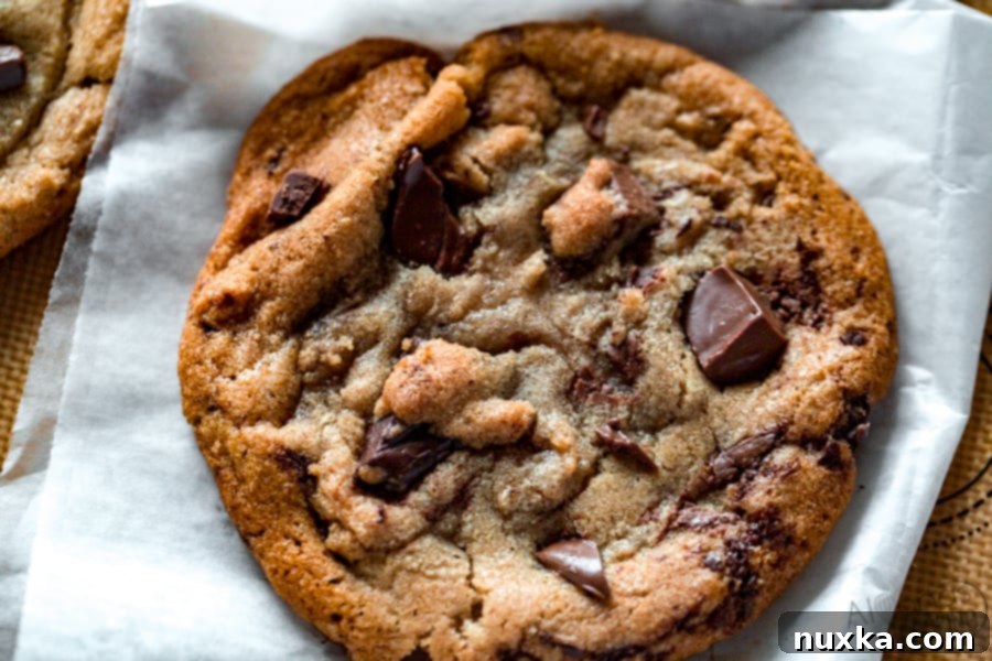 Assortment of giant bakery-style chocolate chip cookies, reminiscent of Panera Bread's Chocolate Chipper, featuring visible chunks of both dark and milk chocolate pieces for rich flavor