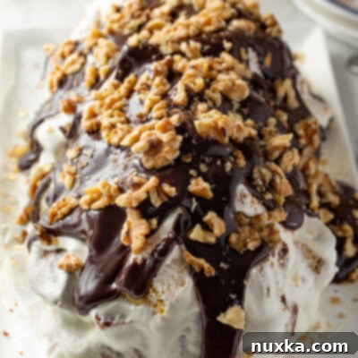 Curly Boy's Russian Tea Cake 10 Russian Tea Cake called Curly Boy Cake with ganache and walnuts