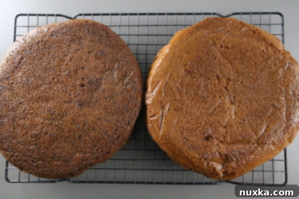 Baked sponge cake layer for Russian Tea Cakes (Curly Boy Cake)