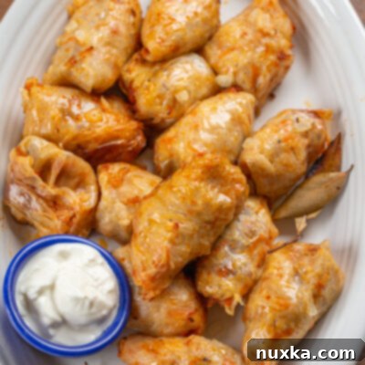 Moldovan Cabbage Rolls (Sarmale)
